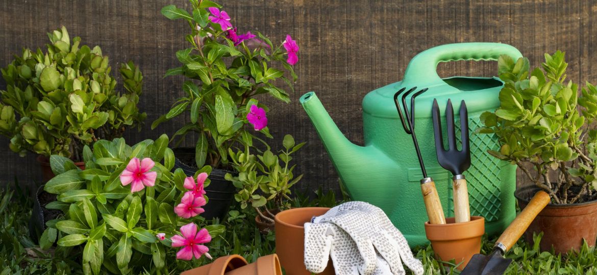 plants-pot-with-watering-can